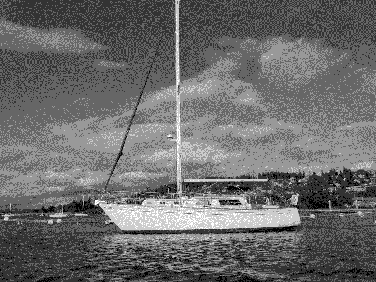 Cloudy Day, then still named "Cara Mia", on a linear mooring in Bellingham,
WA, September 2021. Mainsail not present as it had recently been shredded in a
violent storm.